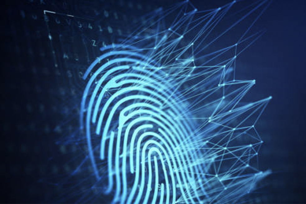 Card Scan - Fast Fingerprints